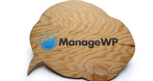 ManageWP Feedback