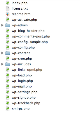 How to edit WordPress core files